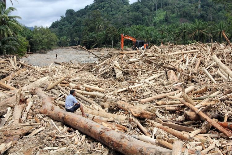 Berikut Daftar 11 Perusahaan Diduga Penyebab Banjir Sumatra
